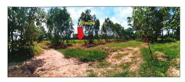 ขายที่ดินเปล่ายกแปลง อำเภอพยัคฆภูมิพิสัย จังหวัดมหาสารคาม ติดถนนใหญ่