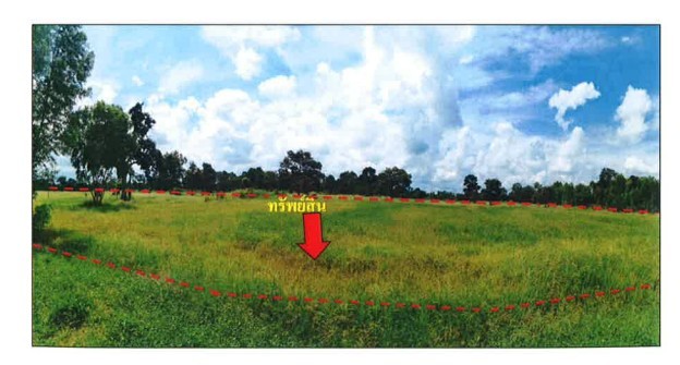 ขายที่ดินเปล่ายกแปลง อำเภอพยัคฆภูมิพิสัย จังหวัดมหาสารคาม ติดถนนใหญ่