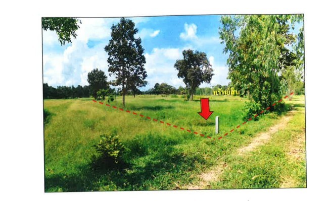 ขายที่ดินเปล่ายกแปลง อำเภอพยัคฆภูมิพิสัย จังหวัดมหาสารคาม ติดถนนใหญ่