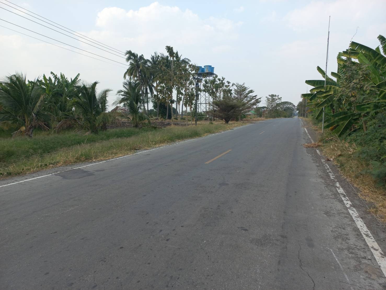 ขายที่ดิน 12 ไร่ 20 ตารางวา เจ้าของขายเอง ตำบลช่องสาริกา อำเภอพัฒนานิคม จังหวัดลพบุรี