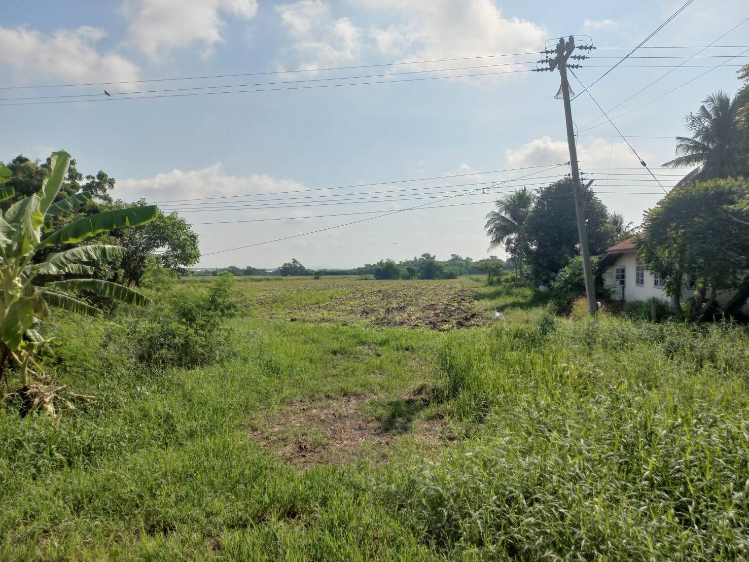 ขายที่ดิน 12 ไร่ 20 ตารางวา เจ้าของขายเอง ตำบลช่องสาริกา อำเภอพัฒนานิคม จังหวัดลพบุรี