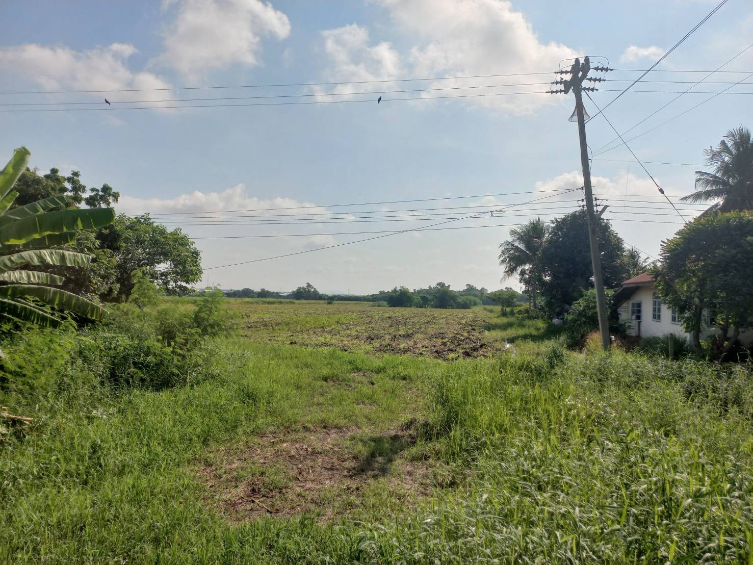 ขายที่ดิน 12 ไร่ 20 ตารางวา เจ้าของขายเอง ตำบลช่องสาริกา อำเภอพัฒนานิคม จังหวัดลพบุรี