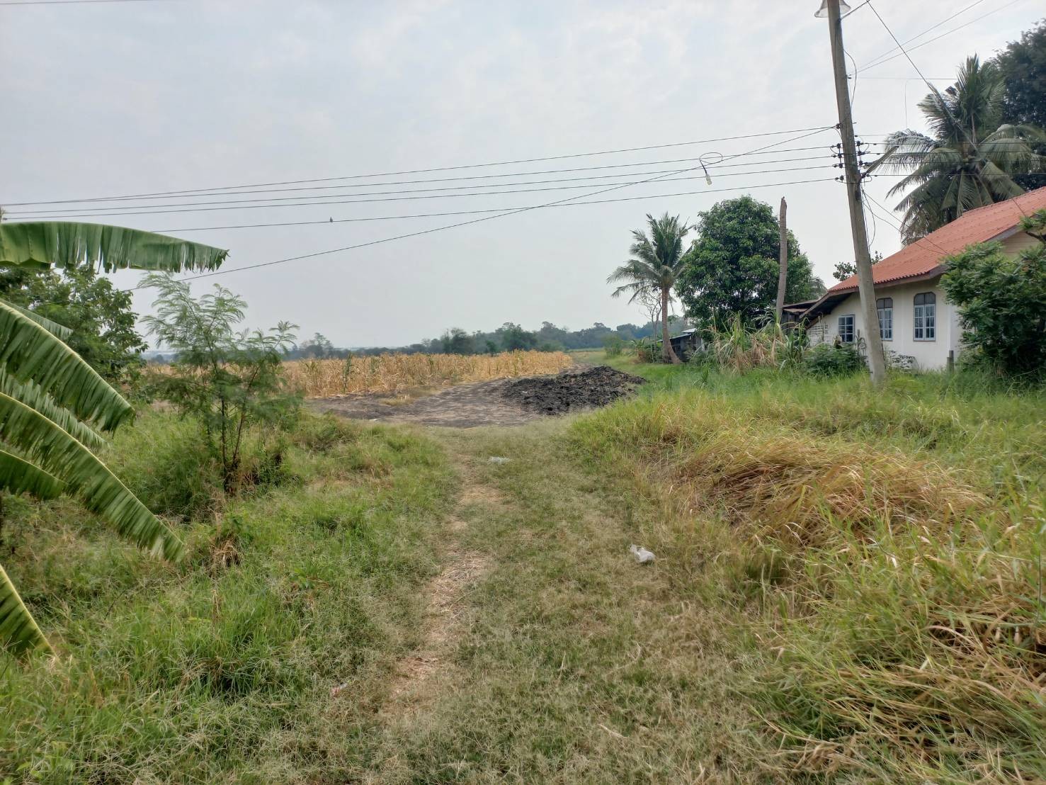 ขายที่ดิน 12 ไร่ 20 ตารางวา เจ้าของขายเอง ตำบลช่องสาริกา อำเภอพัฒนานิคม จังหวัดลพบุรี