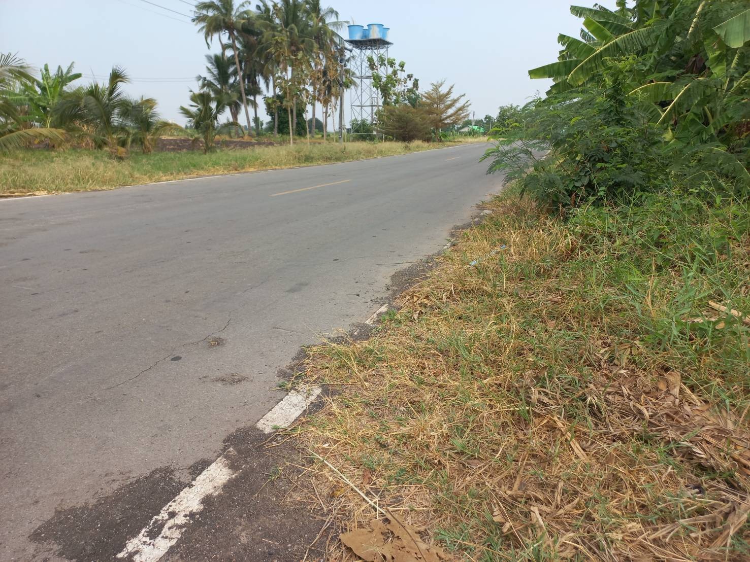 ขายที่ดิน 12 ไร่ 20 ตารางวา เจ้าของขายเอง ตำบลช่องสาริกา อำเภอพัฒนานิคม จังหวัดลพบุรี