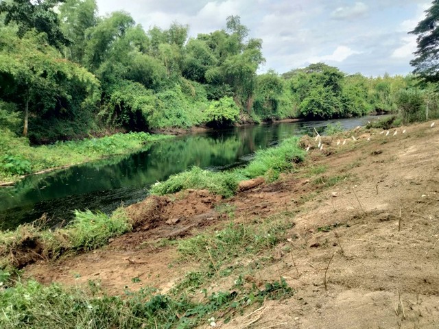 ขายที่ดินติดแม่น้ำเพชรบุรี 1 ไร่  67 ตารางวา ทำเลธรรมชาติ เพชรบุรี