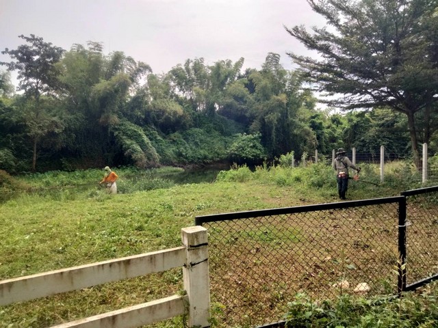 ขายที่ดินติดแม่น้ำเพชรบุรี 1 ไร่  67 ตารางวา ทำเลธรรมชาติ เพชรบุรี