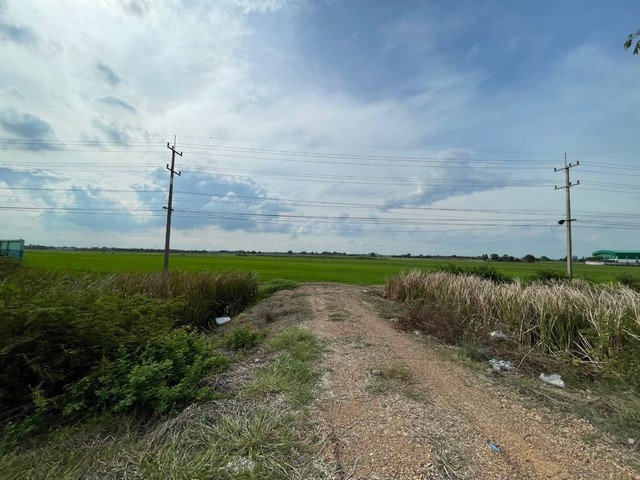 ขายทำเลดีและพื้นที่ที่ดินสวยมาก  ต.บางพระขาว อ.บางบาล จ.พระนครศรีอยุธยา