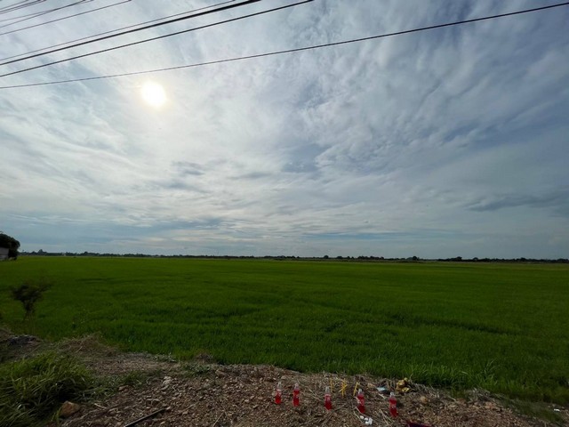 ขายทำเลดีและพื้นที่ที่ดินสวยมาก  ต.บางพระขาว อ.บางบาล จ.พระนครศรีอยุธยา