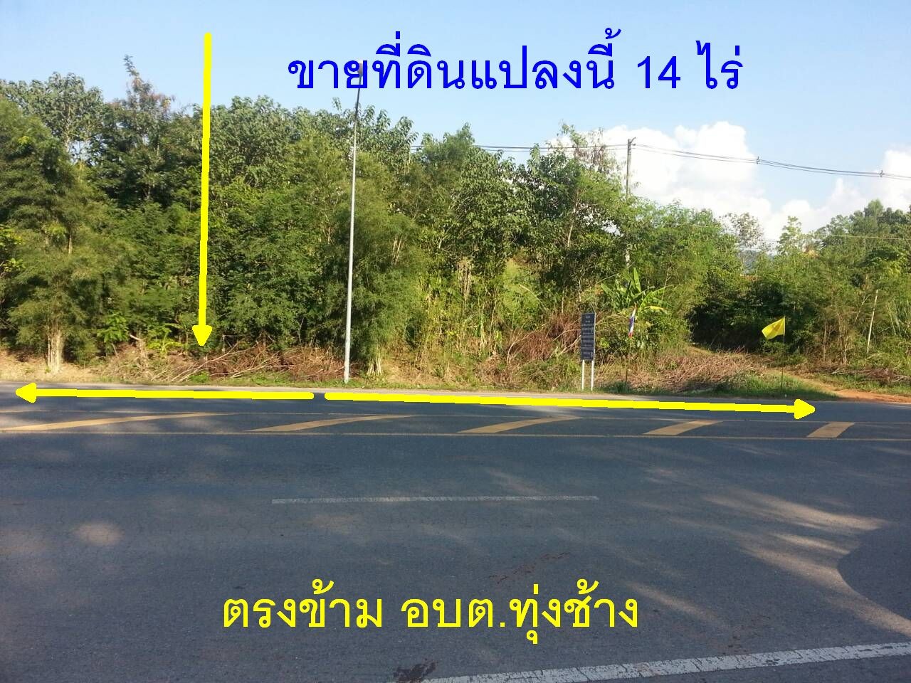ขายที่ดินเปล่า 14 ไร่  ตำบลทุ่งช้าง ตรงข้าม อบต.ทุ่งช้าง อ.ทุ่งช้าง จ.น่าน