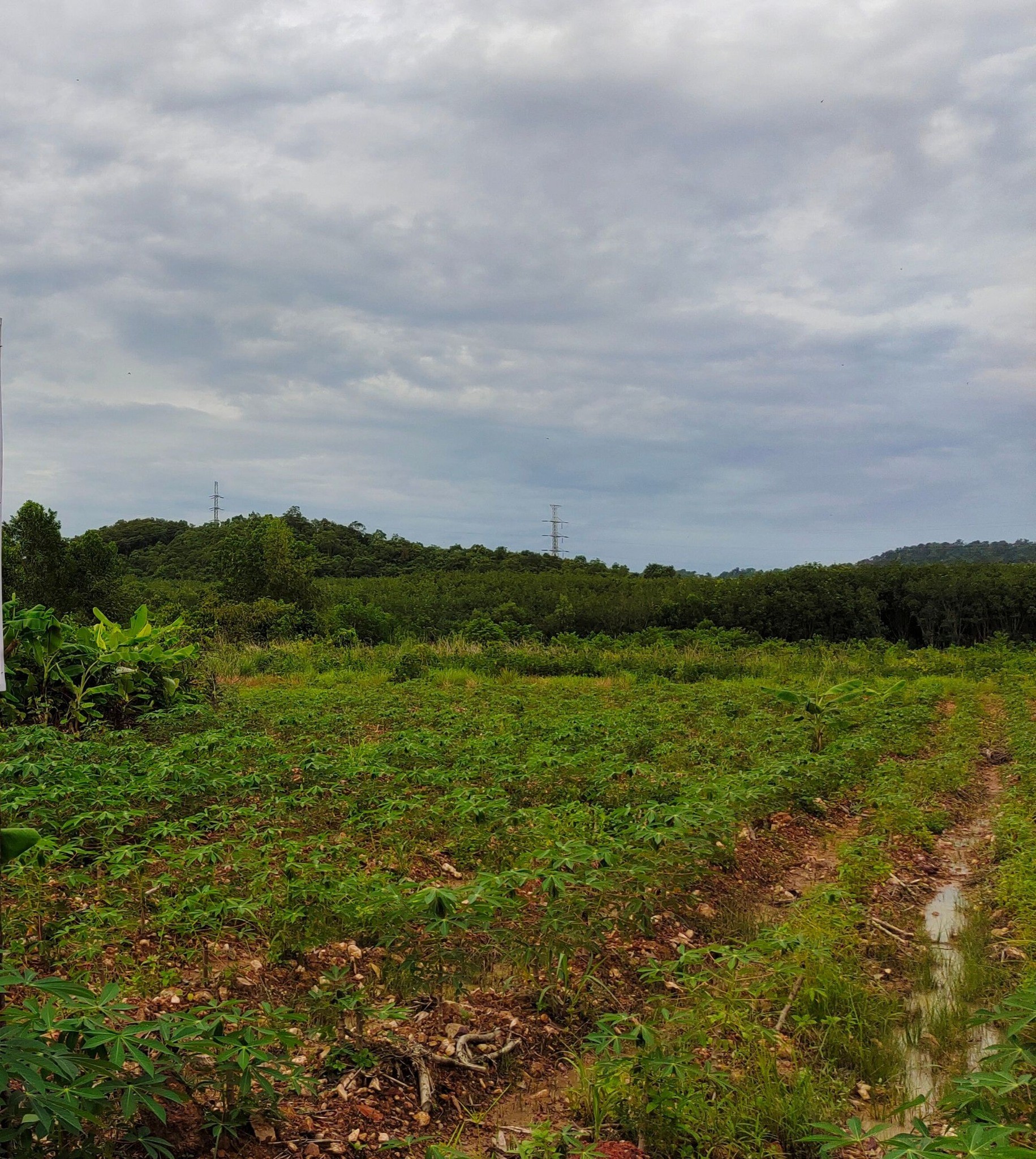 ขายที่ดินจันทบุรีแปลงใหญ่ 171.5 ไร่ จันทบุรี