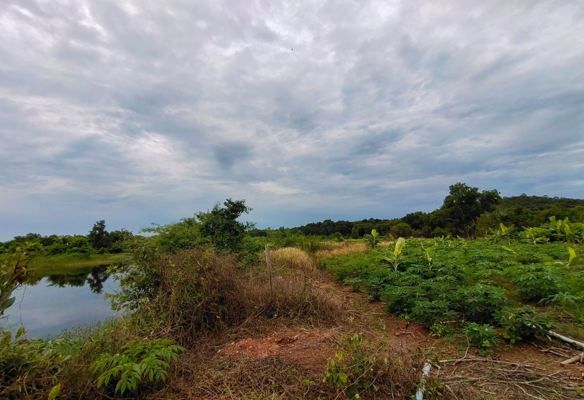 ขายที่ดินจันทบุรีแปลงใหญ่ 171.5 ไร่ จันทบุรี