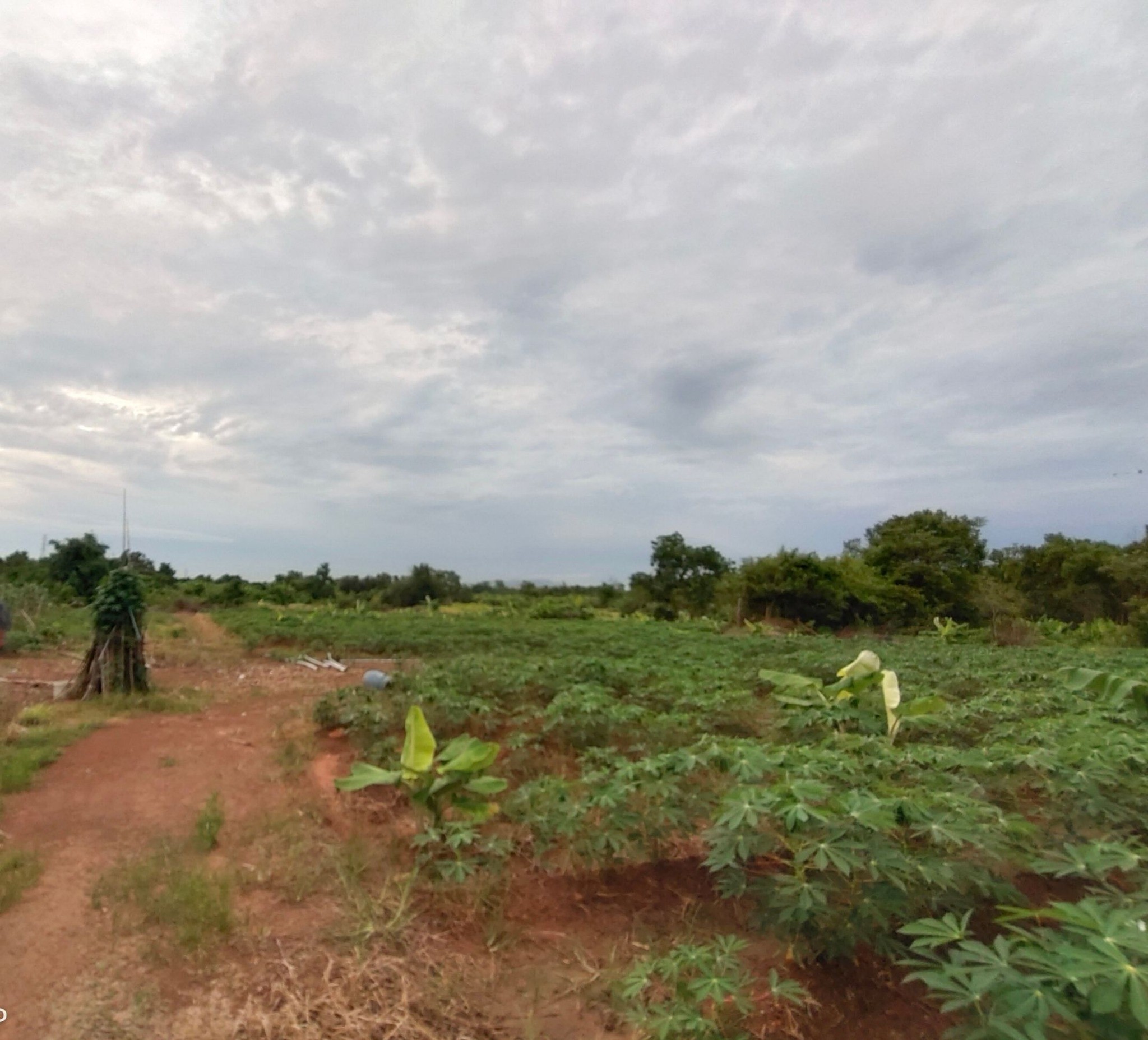 ขายที่ดินจันทบุรีแปลงใหญ่ 171.5 ไร่ จันทบุรี