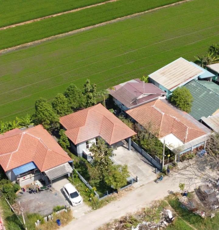 ขายบ้านเดี่ยว 76 ตร.วา คลอง5 บรรยากาศทุ่งนาคาเฟ่ ข้างโรงเรียนทีปังกรณ์วิทยาพัฒน์ ตรงข้าม อบต.คลองห้า