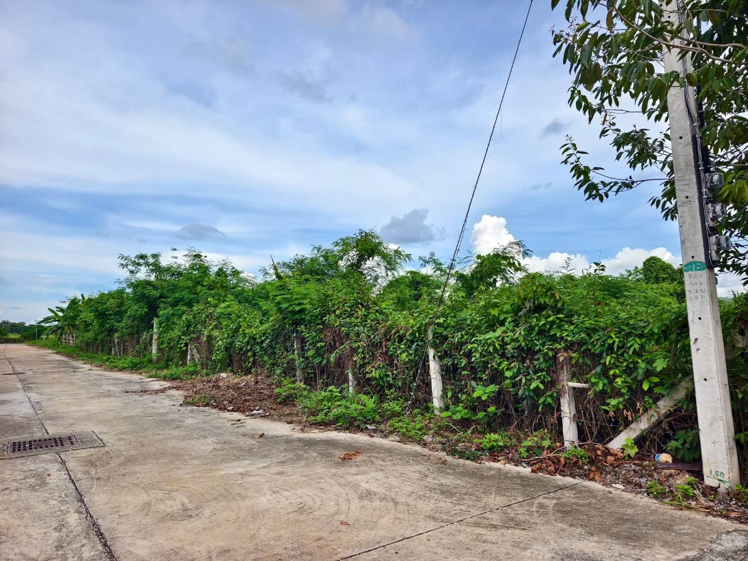 ขายที่ดิน 251.8 ตรว 7 ล้านบาท ใจกลางเมืองลำปาง เจ้าของขายเอง