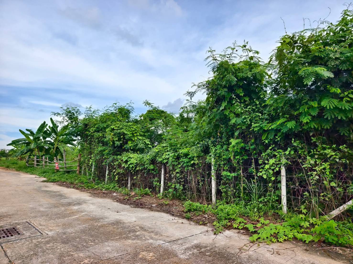 ขายที่ดิน 251.8 ตรว 7 ล้านบาท ใจกลางเมืองลำปาง เจ้าของขายเอง