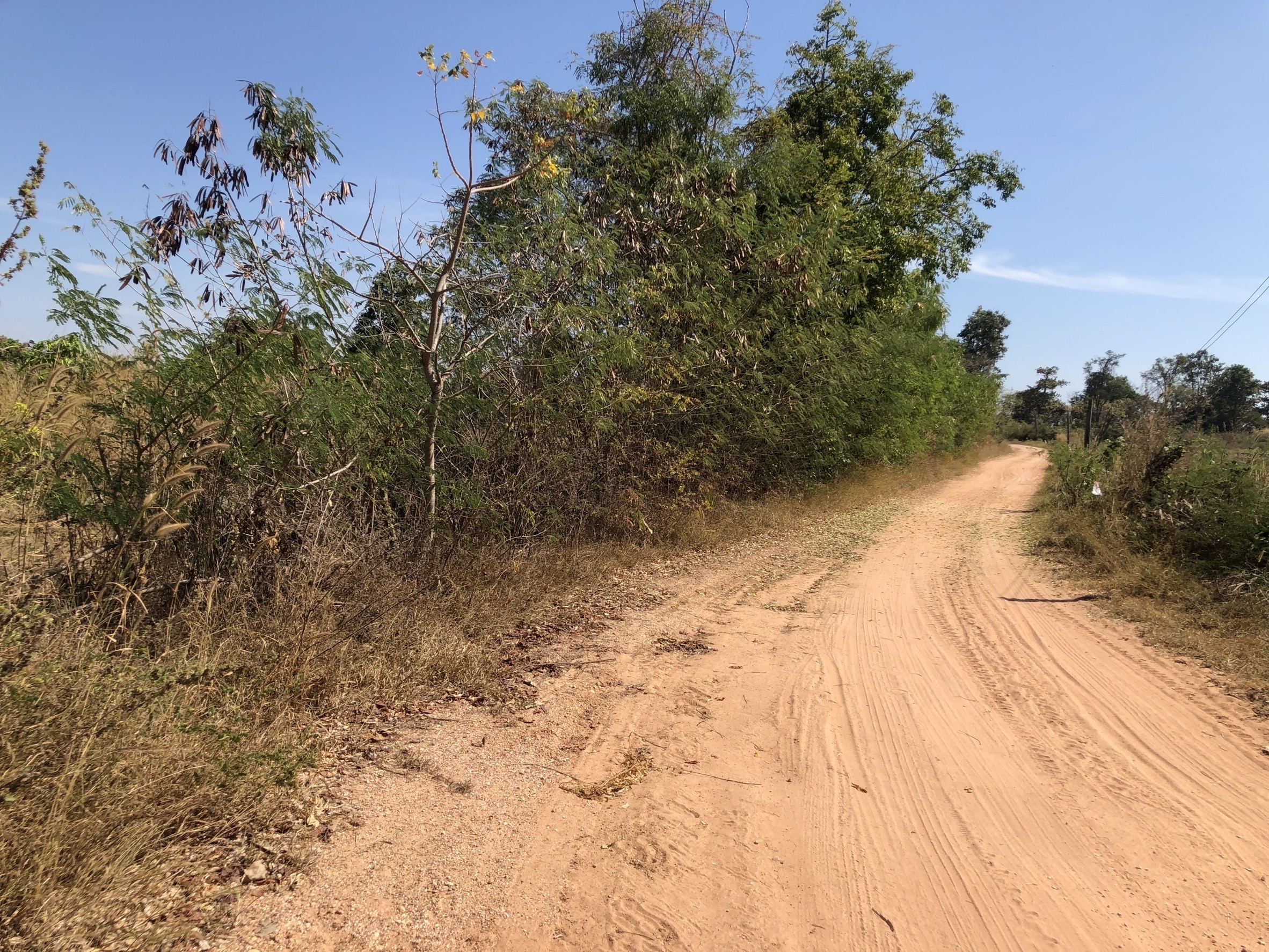 ขายที่ดิน บ้านหลักศิลา   12 ไร่ 1 งาน 50 ตารางวา  เป็นที่ไร่ติดถนนสาธารณะ  ชัยภูมิ 