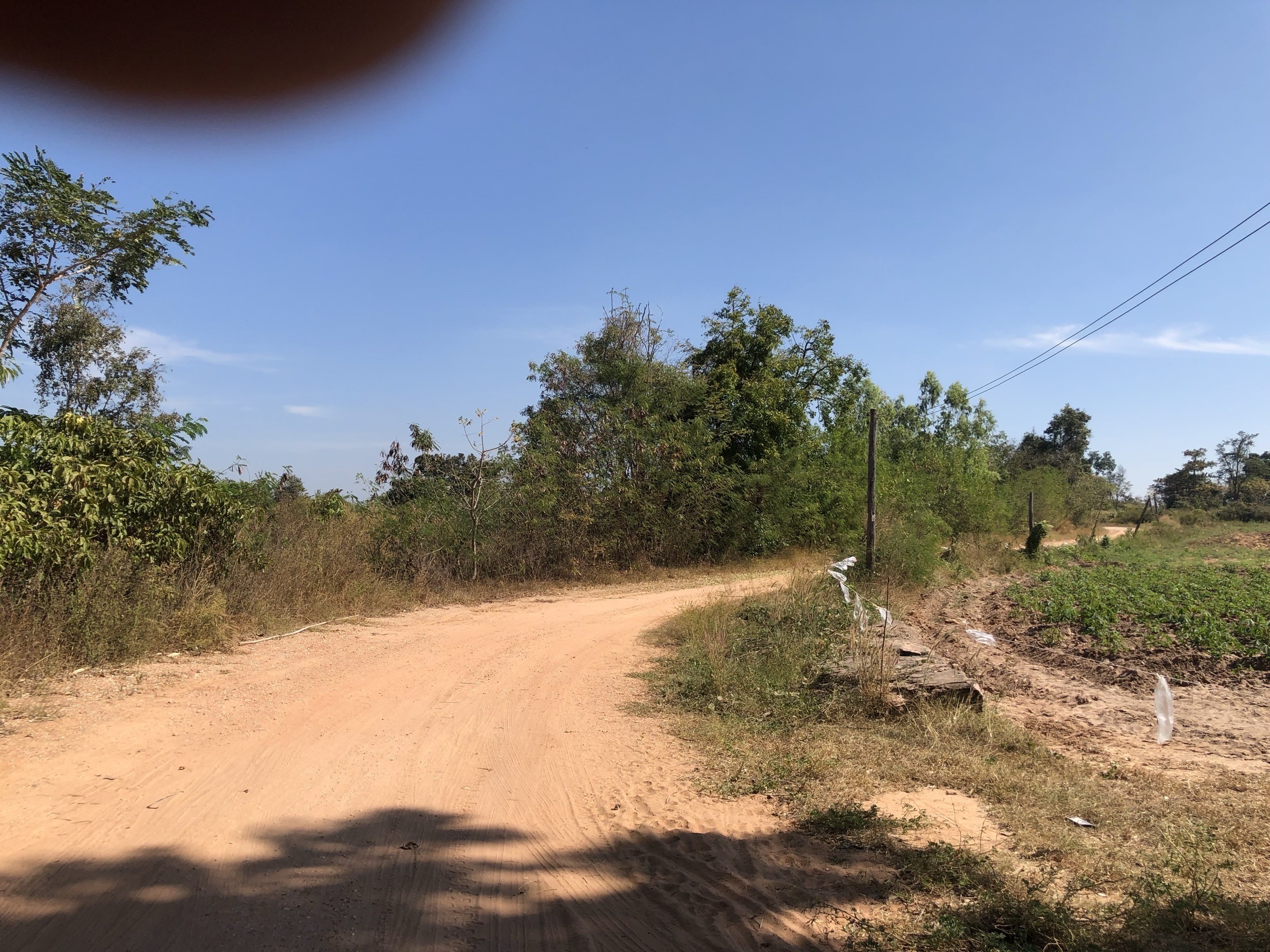 ขายที่ดิน บ้านหลักศิลา   12 ไร่ 1 งาน 50 ตารางวา  เป็นที่ไร่ติดถนนสาธารณะ  ชัยภูมิ 