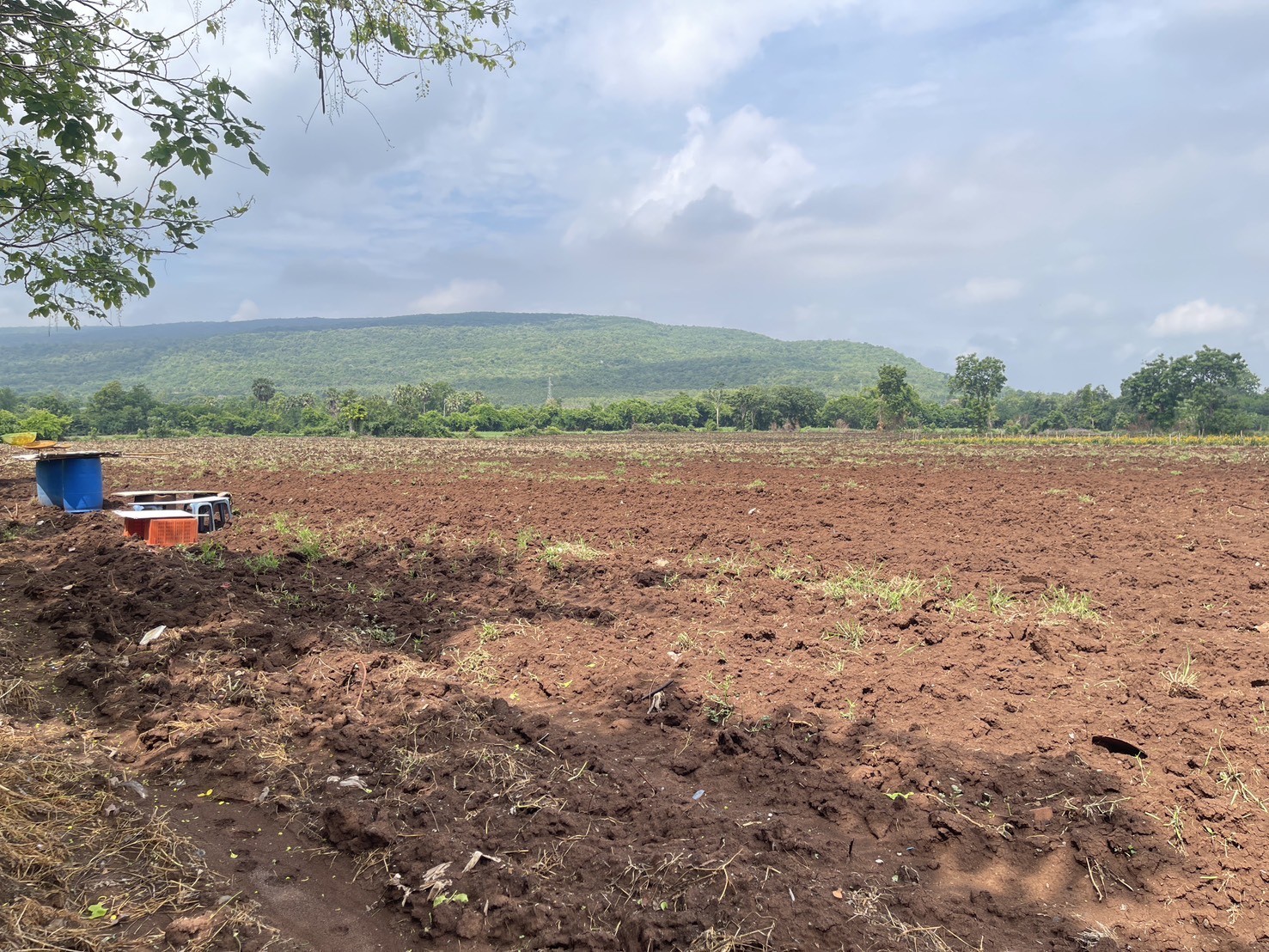 ขายที่ดิน(เจ้าของขายเอง) ติดถนนสุรนารายณ์ (205) โฉนดครุฑแดง 16 ไร่ 1 งาน 45 ตารางวา ลพบุรี 