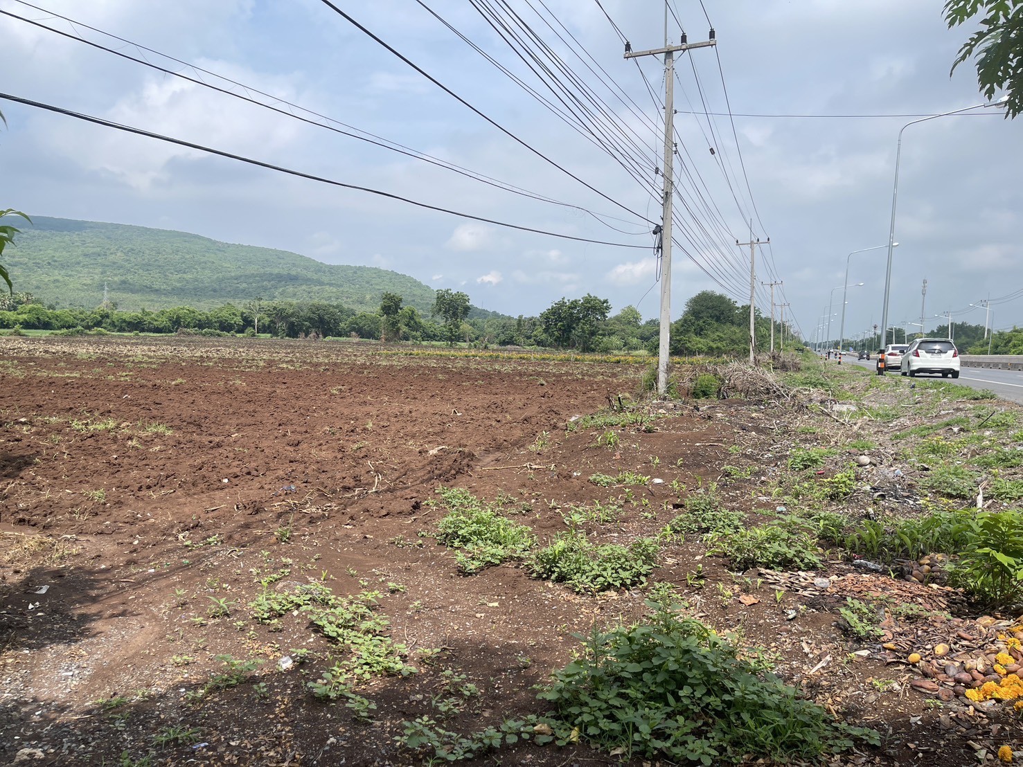 ขายที่ดิน(เจ้าของขายเอง) ติดถนนสุรนารายณ์ (205) โฉนดครุฑแดง 16 ไร่ 1 งาน 45 ตารางวา ลพบุรี 