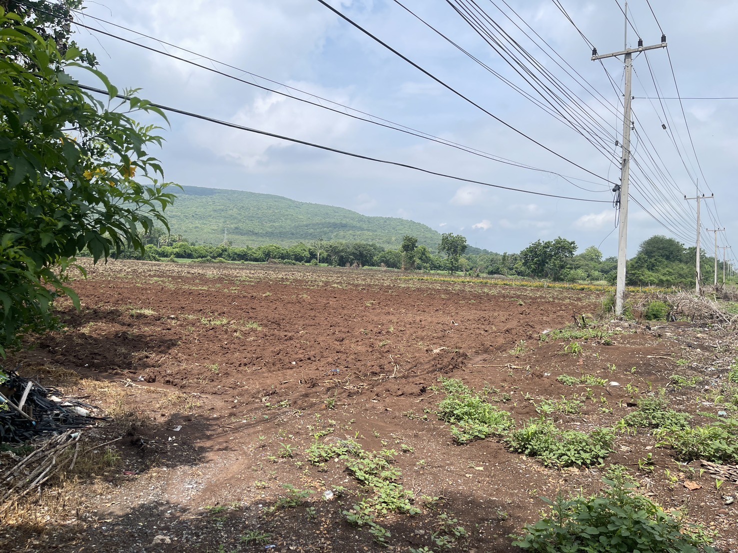 ขายที่ดิน(เจ้าของขายเอง) ติดถนนสุรนารายณ์ (205) โฉนดครุฑแดง 16 ไร่ 1 งาน 45 ตารางวา ลพบุรี 