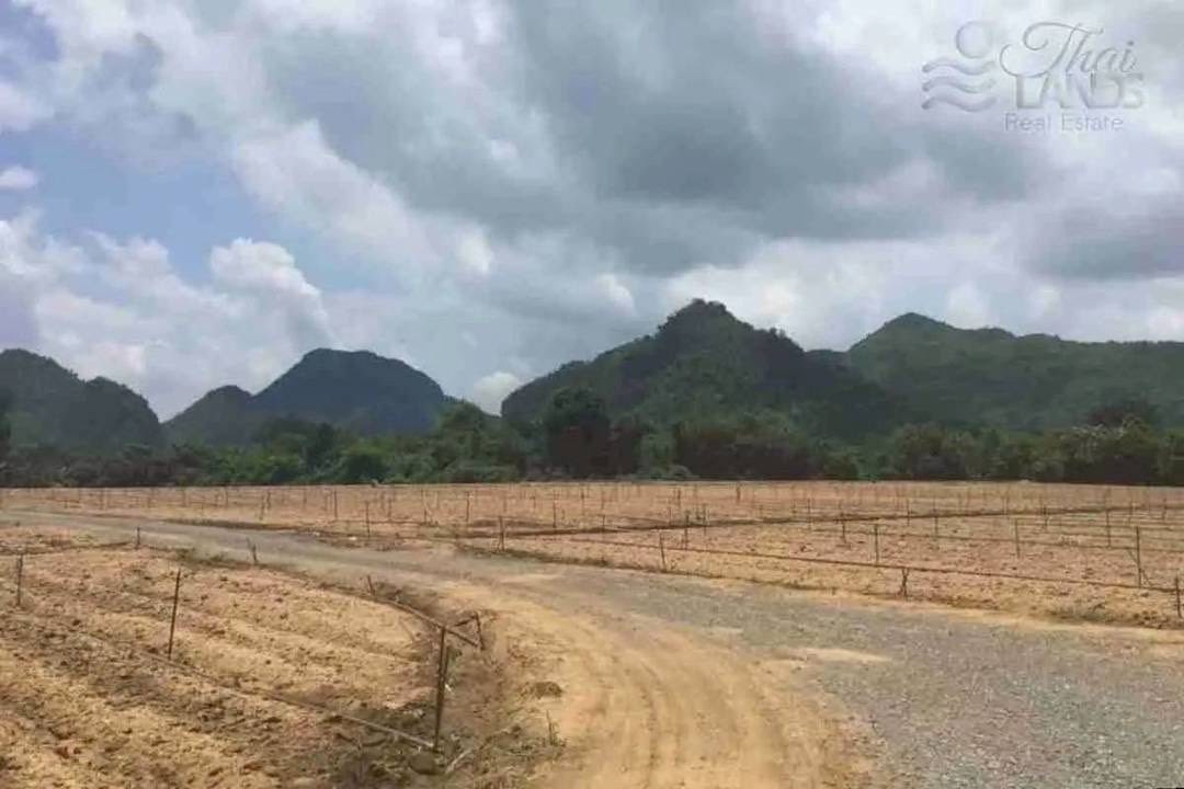 ขายที่ดิน ริมน้ำในเมืองโอกาสแบบนี้ไม่ได้มีบ่อย 