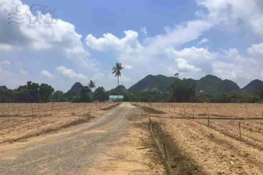 ขายที่ดิน ริมน้ำในเมืองโอกาสแบบนี้ไม่ได้มีบ่อย 