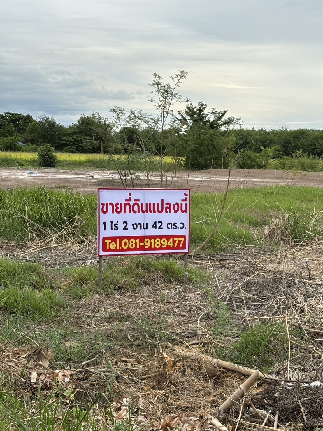 ขายที่ดินถมแล้ว เจ้าของขายเอง  ทำเลดีติดถนนซอย 2 ฝั่ง พระนครศรีอยุธยา 