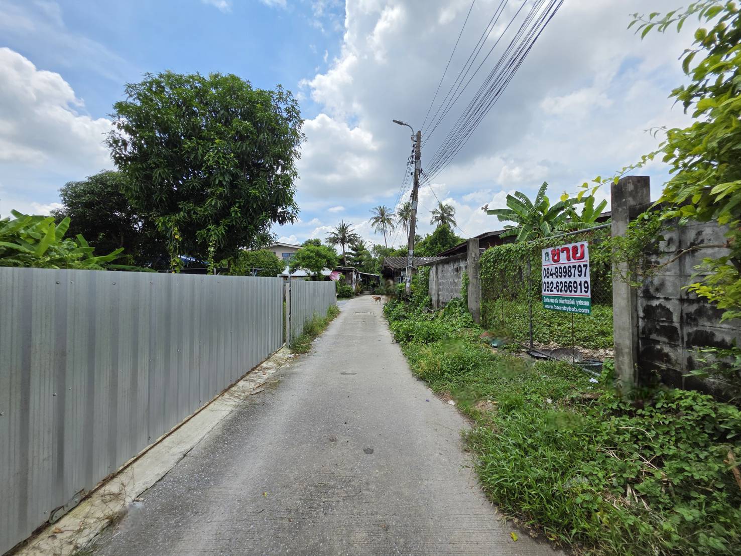 ขายด่วน! ที่ดินถมแล้ว 104 ตร.ว. พุทธมณฑลสาย 1 ซอย 13 (แยก 4)