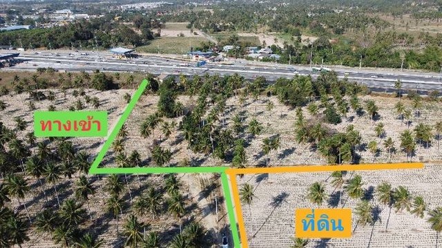 ขายที่ดินเหมาะซื้อลงทุน เพื่อเก็งกำไร หรือสร้างบ้านพักอาศัย จังหวัดชลบุรี
