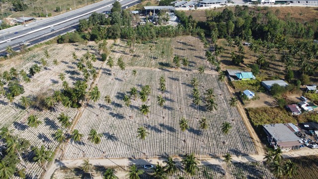 ขายที่ดินเหมาะซื้อลงทุน เพื่อเก็งกำไร หรือสร้างบ้านพักอาศัย จังหวัดชลบุรี