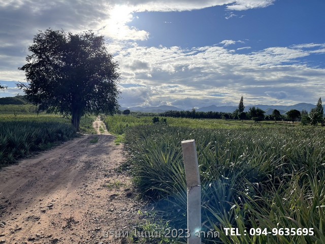 ขายที่ดิน แปลงสวย พื้นที่สีเขียว ติดภูเขา  บ้านยุบพริก ตำบลบ่อนอก อำเภอเมืองประจวบคีรีขันธ์ ประจวบคีรีขันธ์