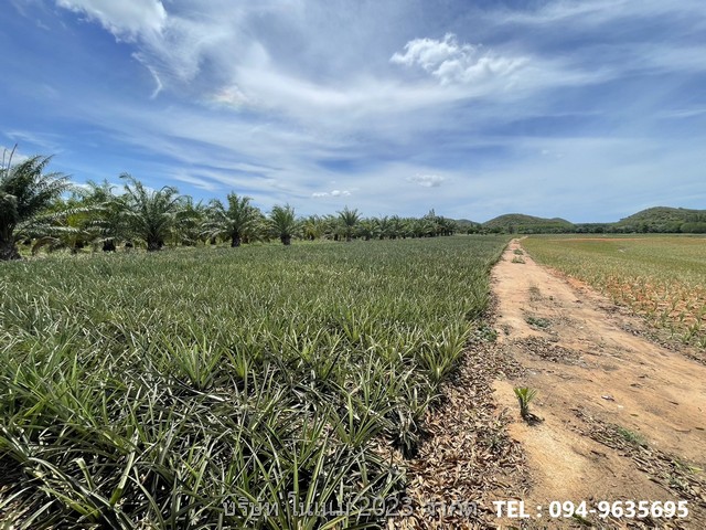 ขายที่ดิน แปลงสวย พื้นที่สีเขียว ติดภูเขา  บ้านยุบพริก ตำบลบ่อนอก อำเภอเมืองประจวบคีรีขันธ์ ประจวบคีรีขันธ์