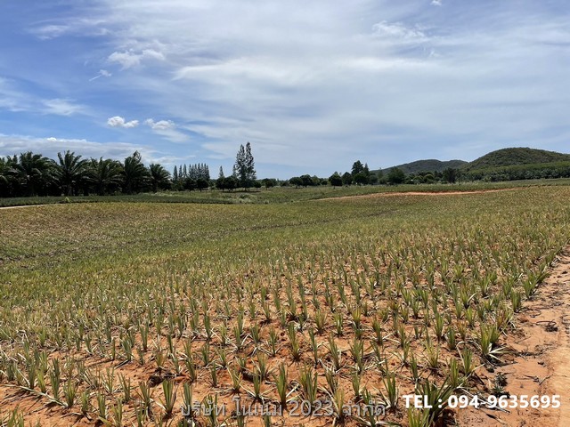 ขายที่ดิน แปลงสวย พื้นที่สีเขียว ติดภูเขา  บ้านยุบพริก ตำบลบ่อนอก อำเภอเมืองประจวบคีรีขันธ์ ประจวบคีรีขันธ์