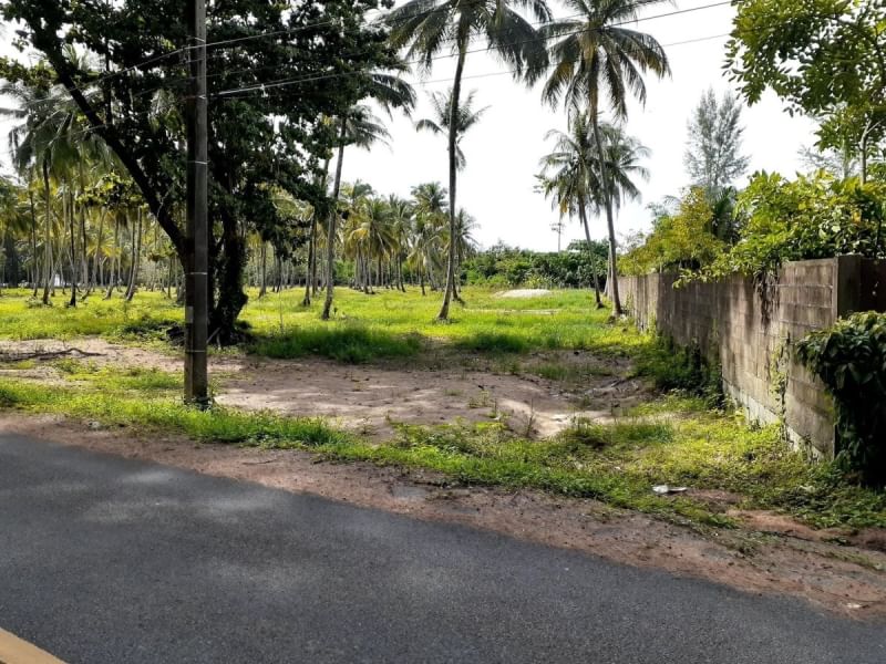 ขายที่ดิน  5 ไร่ 3 งาน 42.0 ตารางวา เจ้าของขายเอง ตำบลนาพละอำเภอเมืองตรัง จังหวัดตรัง