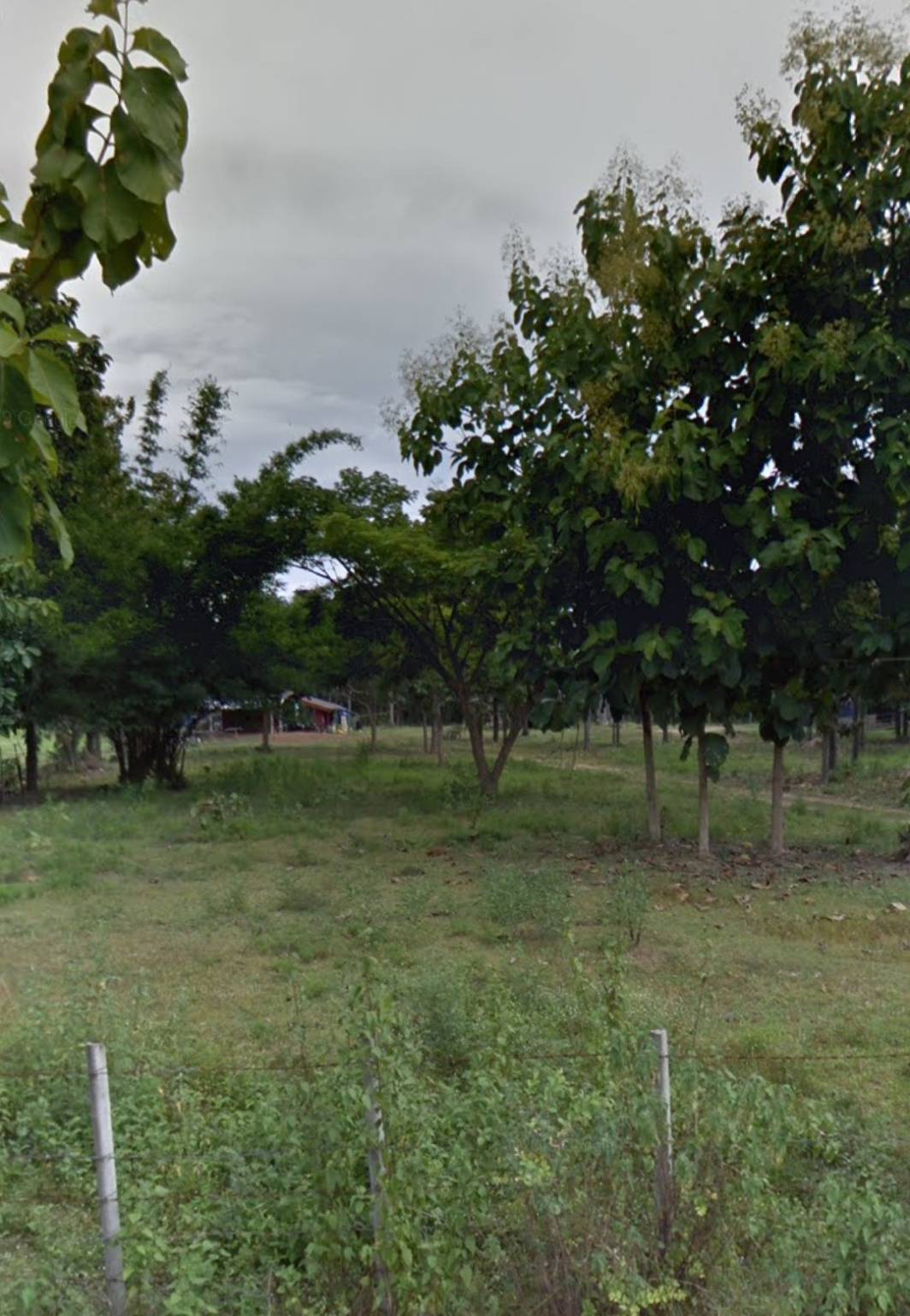 ขายที่ดินด่วน​ 10ไร่​ 72​ตารางวา ฟรีบ้าน1หลัง​เนื้อที่​ 32ตารางวา​ โฉนดครุฑแดง