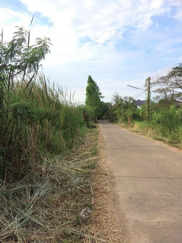 ขายที่ดินพร้อมบ้าน    2 ไร่ไ  9ตารางวา  เจ้าของขายเอง ตำบลเขาพระ  อำเภอเมือง จังหวัดนครนายก