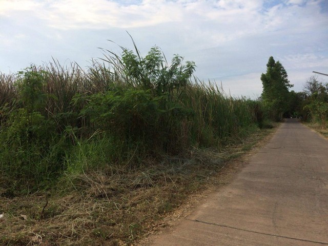 ขายที่ดินพร้อมบ้าน    2 ไร่ไ  9ตารางวา  เจ้าของขายเอง ตำบลเขาพระ  อำเภอเมือง จังหวัดนครนายก