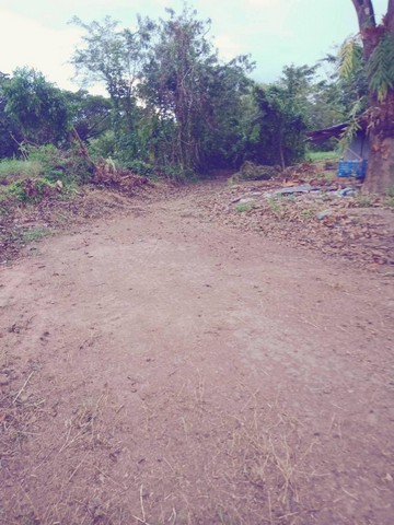 ขายที่ดินทำเลทอง 273 ตารางวา  ตำบลพรหมณี อำเภอเมืองนครนายก จังหวัดนครนายก 