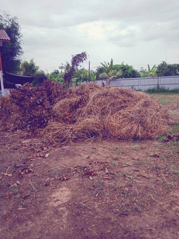 ขายที่ดินทำเลทอง 273 ตารางวา  ตำบลพรหมณี อำเภอเมืองนครนายก จังหวัดนครนายก 