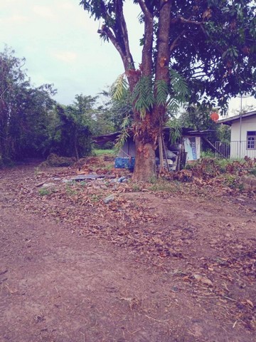 ขายที่ดินทำเลทอง 273 ตารางวา  ตำบลพรหมณี อำเภอเมืองนครนายก จังหวัดนครนายก 