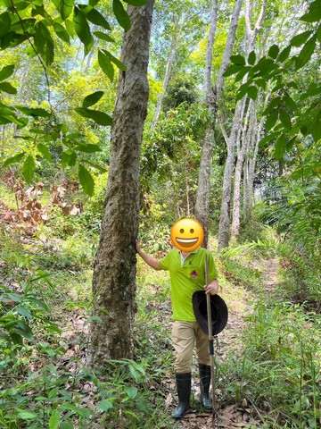 ขายที่ดิน 7 ไร่ 1 งาน 50.7 ตารางวา