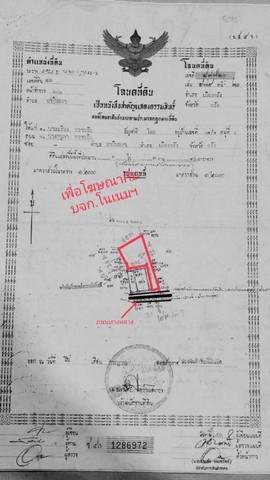 ขายที่ดินพร้อมบ้าน 1 ไร่ 53 ตารางวา  ตำบลนาบินหลา อำเภอเมืองตรัง จังหวัดตรัง