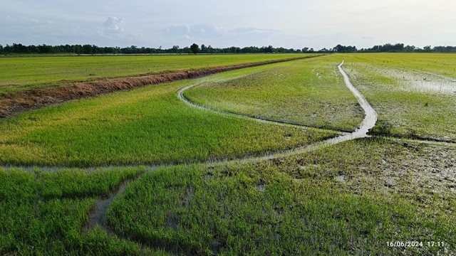 ขายที่ดินทำเลดี 42 ไร่ เจ้าของขายเอง  ตำบลบึงศาล อำเภอองครักษ์ จังหวัดนาครนายก