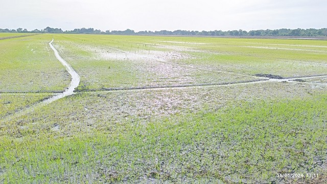 ขายที่ดินทำเลดี 42 ไร่ เจ้าของขายเอง  ตำบลบึงศาล อำเภอองครักษ์ จังหวัดนาครนายก