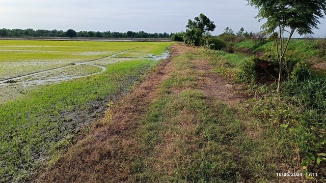 ขายที่ดินทำเลดี 42 ไร่ เจ้าของขายเอง  ตำบลบึงศาล อำเภอองครักษ์ จังหวัดนาครนายก