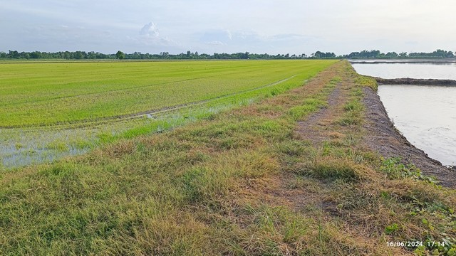 ขายที่ดินทำเลดี 42 ไร่ เจ้าของขายเอง  ตำบลบึงศาล อำเภอองครักษ์ จังหวัดนาครนายก