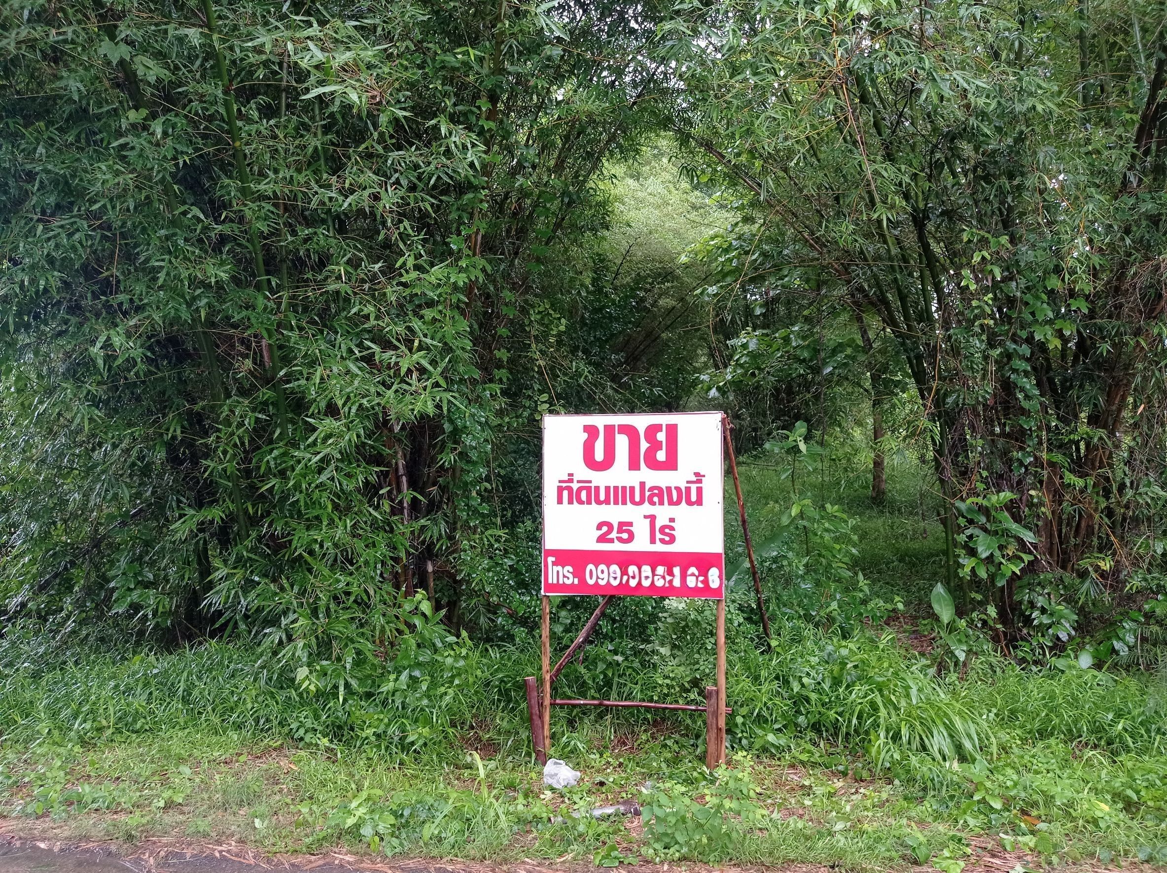 ขายที่ดิน นครนายก 25 ไร่ ตำบลสาริกา