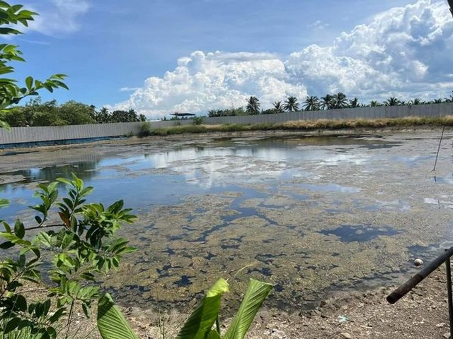 บ้านเดี๋ยว ขนาดใหญ่หลังหัวมุม ไซค์ใหญ่สุดในโครงการ 4 ห้องน้ำ 5 ห้องน้ำ 1 ห้องแม่บ้าน จอดรถในร่ม 3 คัน นนทบุรี