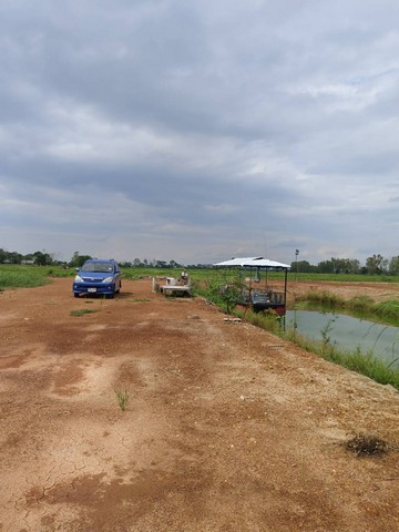 ขายด่วนที่ดินโฉนดครุตแดง เจ้าของขายเองไม่ผ่านนายหน้า  ที่ดินเปล่าถมแล้ว  จังหวัดเชียงราย