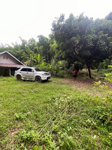 ขานที่ดิน ภบท 5 จำนวน 50 ไร่ ต.ผาสิงห์ อ.เมือง จ.น่าน 